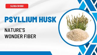 Psyllium Husk  Natures Wonder Fiber  Unlocking the Health Benefits  Health n Herbals [upl. by Rabah]