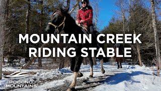 Horseback Riding at Mountain Creek Riding Stable [upl. by Laddy]