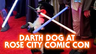 Lightsaber wielding dog is star at Rose City Comic Con [upl. by Syck]