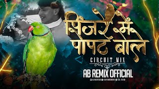 Pinjare Main Popat Bole Circuit Mix AB Remix  Mithun Chakraborty  Jolly Mukherjee  90sHit Song [upl. by Llerrah3]