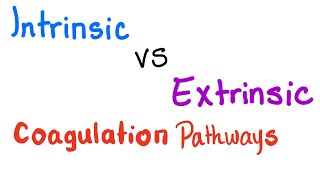 Intrinsic vs Extrinsic Coagulation pathways  Hemostasis  Bleeding and Coagulation [upl. by Rozalin582]