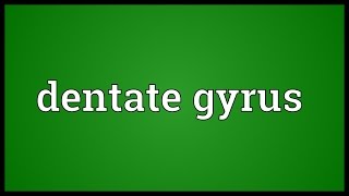 Dentate gyrus Meaning [upl. by Giff]