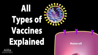 All Types of Vaccines How They Work Animation [upl. by Marcin]