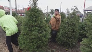 Stormy weather causes chaos for Galt boy scout troops Christmas tree fundraiser [upl. by Jenn]