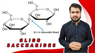 oligo saccharides in hindi  ring structures  biochemistry [upl. by Stannwood]