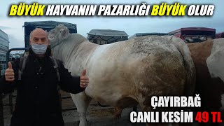 AFYONKARAHİSAR PAZARINDAKİ HAYVANLARI HİÇ BİR YERDE GÖRMEDİM [upl. by Mcgraw]