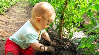 Les toutpetits adorables et les enfants adorent le jardinage [upl. by Disario]