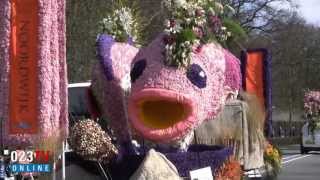 Bloemencorso 2013 [upl. by Skeie499]