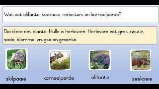 Wilde diere 3 Herbivore en karnivore [upl. by Amalee]