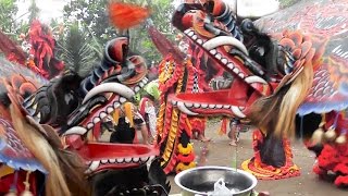 DUEL MAUT 5 BARONGAN  JARANAN  KUDA KEPANG [upl. by Isidro]