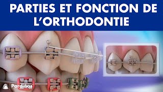 Appareil dentaire – Parties et fonction de l’orthodontie © [upl. by Rebma]