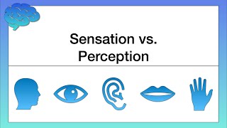 What’s the Difference between Sensation and Perception [upl. by Arch898]