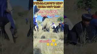 የሉም ጠፈተዋል ሲሉ ኖረን duet abelbirhanuየወይኗልጅ habesha ethioforumኢትዮፎረም amharic yetbitubeየተንቢ [upl. by Eita560]