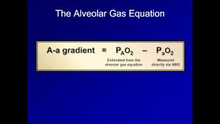 The Aa Gradient ABG Interpretation  Lesson 16 [upl. by Timus296]