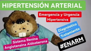 ✅✅Resumen completo HIPERTENSIÓN Y CRISIS HIPERTENSIVA  SISTEMA RENINA ANGIOTENSINA ALDOSTERONA [upl. by Nosinned]