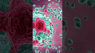 What Are Dendritic Cells science [upl. by Esirec]