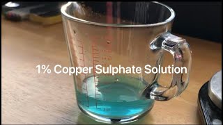 How to create a 1 Copper Sulphate solution [upl. by Ahsyla]