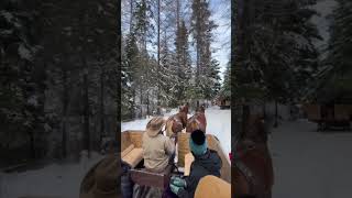 Sleigh Ride Adventure Fun at The Bar W Guest Ranch [upl. by Leavitt]