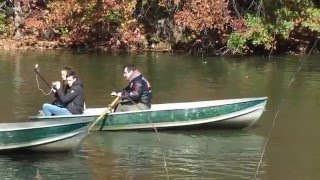 Rowing Fails  Loeb Boathouse Central Park New York City [upl. by Melody]