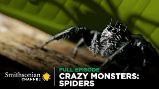 Crazy Monsters Spiders 🕷️ FULL EPISODE  Smithsonian Channel [upl. by Ulita]