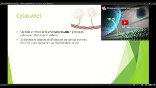 Klas 4 VWO Thema 1 Inleiding in de biologie basisstof 4 organellen deel 3 [upl. by Jollanta]