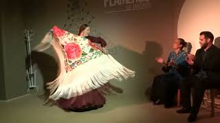 Centro Cultural Flamenco de Madrid [upl. by Carlita466]