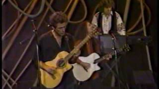 Lindsey Buckingham  Dont Look Down  Live [upl. by Cherise]