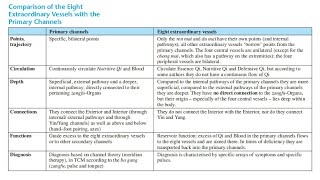 COMPARISON OF THE EIGHT EXTRAORDINARY VESSELS WITH PRIMARY CHANNELS [upl. by Lihcox]