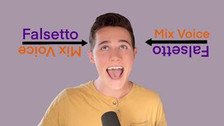 How To Sing In Mixed Voice The FALSETTO MIX [upl. by Slater769]