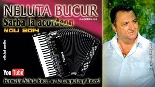 NELUTA BUCUR  Sarba la acordeon 1 live audio [upl. by Aiekam]