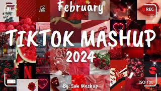 Tiktok Mashup February 🎉 2024 🎉 Not Clean [upl. by Paten]