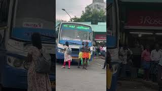 SETC and TNSTC [upl. by Arimay]