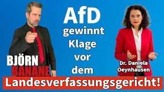 AfD gewinnt Klage vor dem Landesverfassungsgericht [upl. by Yecaw758]