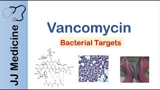 Vancomycin  Bacterial Targets Mechanism of Action Adverse Effects [upl. by Froh]