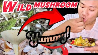 Wild mushrooms 🍄‍🟫  2024 gi aroiba chahoure 🍄🍄🍄🍄 [upl. by Lotte]