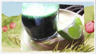 How to Take Chlorella  Healthy Blue Green Algae Powder  Broken Wall [upl. by Aseyt209]