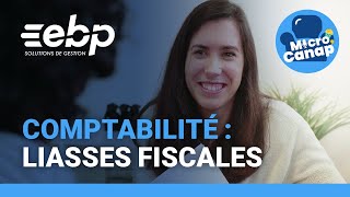 6 questions essentielles sur la liasse fiscale [upl. by Ellenwahs149]