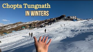 Winter trek Chopta Tungnath in Uttarakhand  Latest vlog 2023 Snowfall [upl. by Eelannej]