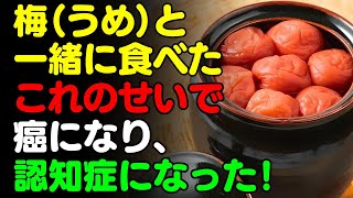 梅と一緒に 「これ」は絶対に食べないで🌸 うめと食べると滋養強壮剤になる食品3選＆レシピ！栄養補助食品の代わりにこれを食べよう【がん・認知症 予防、脳 健康情報、栄養効果、料理、梅干し 梅酒 効能】 [upl. by Noek]