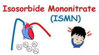 Isosorbide Mononitrate  Mechanism precautions side effects amp uses [upl. by Yung727]