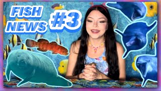 FISH NEWS 3 EPCOT Manatees amp Dolphins Trump Tower New Species Myths Busted [upl. by Rennat318]