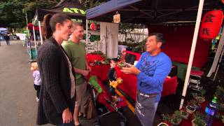 Simply Japanese Bonsai Eumundi Markets [upl. by Celinda]