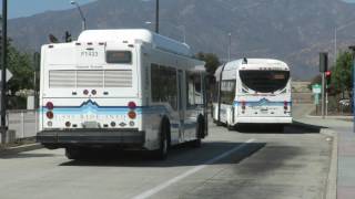 Montclair Transit Center Buses 1042016 [upl. by Harlow]