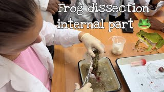 Frog Dissection 🐸Exploring the Anatomy of a Frogquot  Mbbs vlogs 🫁🫀 [upl. by Calysta]