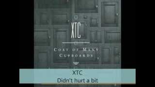 XTC  Coat of Many Cupboards  Didnt hurt a bit nonsuch outtake [upl. by Theda338]