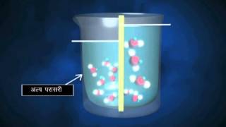 Diffusion and Osmosis  Hindi [upl. by Ohcirej992]