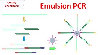 rtPCR animation [upl. by Ottie]