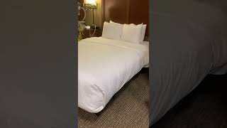 Hotel Tour  Comfort Suites  Coralville Iowa [upl. by Quackenbush]