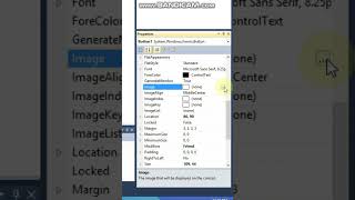 How to add image to the Button in VBNet [upl. by Nerdna]