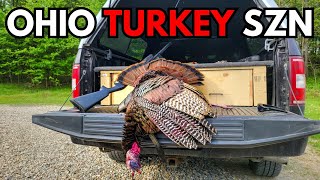 HUGE GOBBLER DOWN My Entire 2024 Ohio Spring Turkey Season My First Turkey [upl. by Nie]